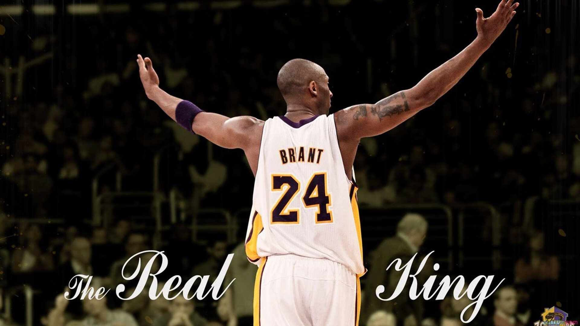 守望先锋 联赛积分榜竞争白热化，守望先锋联赛预测积分